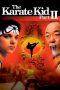 The Karate Kid Part II (1986) The Karate Kid Part II (1986)