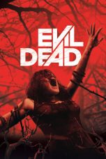 Evil Dead (2013) Evil Dead (2013)