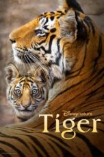 Nonton Film Tiger (2024) Nonton Film Tiger (2024)