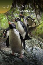 Nonton Film Our Planet Season 2 (2023) Nonton Film Our Planet Season 2 (2023)