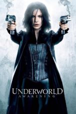 Underworld: Awakening (2012) Underworld: Awakening (2012)