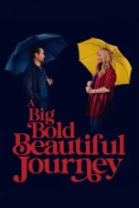 A Big Bold Beautiful Journey (2025) A Big Bold Beautiful Journey (2025)